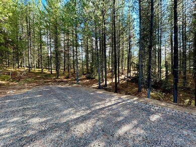50 Sawtooth Loop unit Lot 30, Cascade, ID 83611 - photo 4