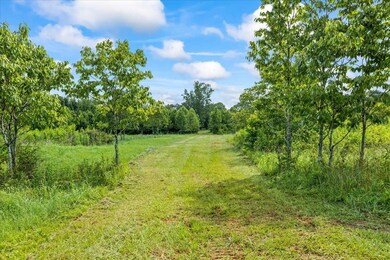 0 Creekview Dr unit 69800, Madison, GA 30650 - photo 3