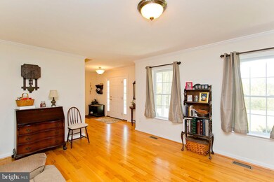 561 Washout Ln, Winchester, VA 22603 - photo 3