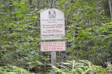 West Hill Rd Middlefield-Becket Line 002