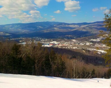 39.5 Crooked Mountain Rd unit 118-39.5, Lincoln, NH 03251 - photo 6