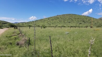 Newland & S. Palm Rd (4)