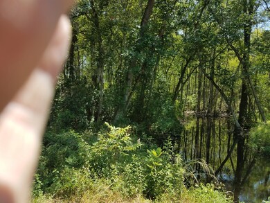 Creek