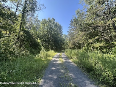 0 Medwyn Ln unit 20253322, Red Hook, NY 12571 - photo 5