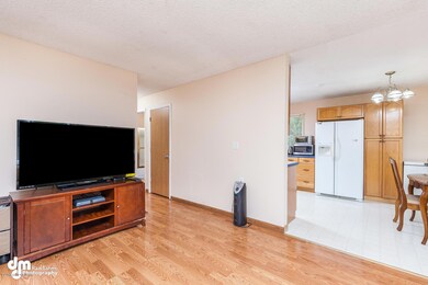 9800 Chelatna Cir Anchorage AK-large-005