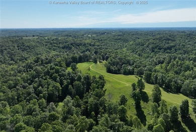 3177 Mount Union Rd, Fraziers Bottom, WV 25082 - photo 6