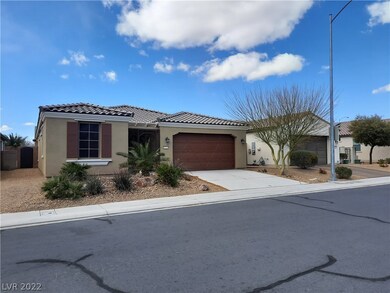 Easy to maintain desert landscaping front and back