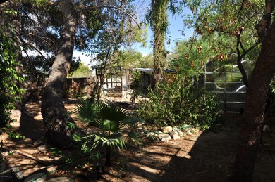 Secret Jungle