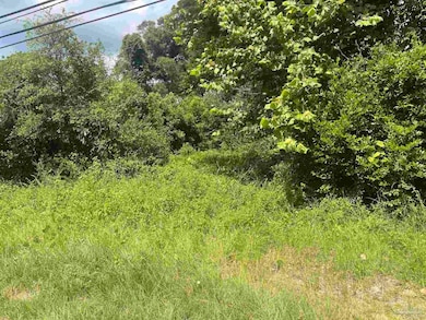 419 N Corry Field Rd, Pensacola, FL 32506 - photo 5