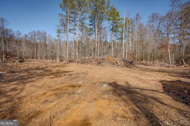 0 John Kay Rd unit 10451216, Taylorsville, GA 30178 - photo 5