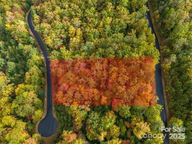 99999 Mills River Way unit Lot 107, Mills River, NC 28742 - photo 2