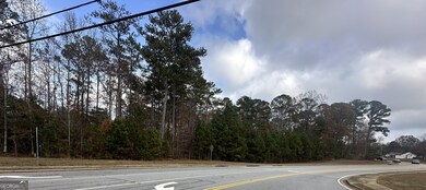 0 Hilo Rd unit 10647506, Fayetteville, GA 30215 - photo 4