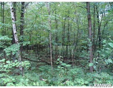 Lot 34 Spotted Fawn Rd, Danbury, WI 54830 - photo 3