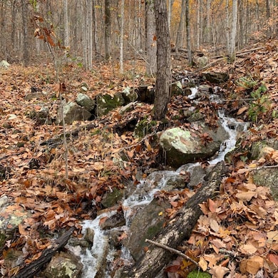 WhatsApp Image 2024-08-06 at 3.24.38 AM-