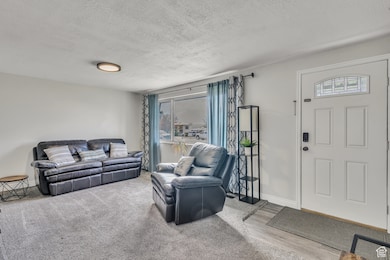 Living room featuring a textured ceiling and carpet