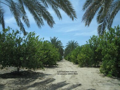 0 Apn 810-311-004 & 810-311-010 unit 225123999, Desert Center, CA 92239 - photo 5