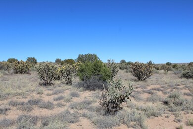 0 51st Ave NW unit 1094048, Rio Rancho, NM 87144 - photo 6