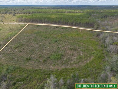 Tract #6 - 0 Saddleclub Rd, Hoboken, GA 31542 - photo 2