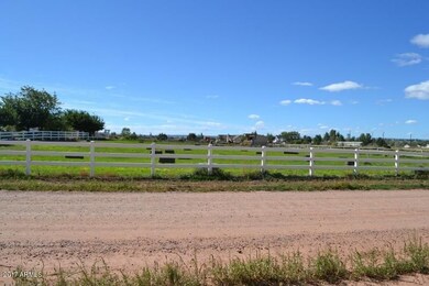 DSC_0873 (800x533)