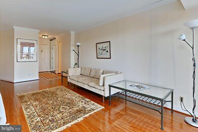 5901 Mount Eagle Dr unit 1003, Alexandria, VA 22303 - photo 3