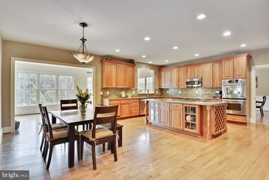 21793 Iannis Spring Dr, Ashburn, VA 20148 - photo 7
