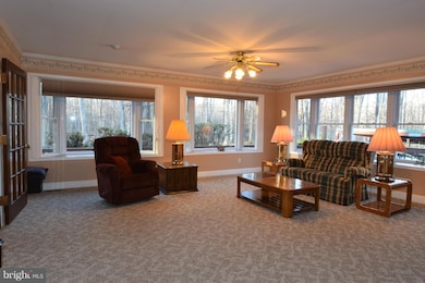 6621 Shepherdstown Rd, Warrenton, VA 20187 - photo 6