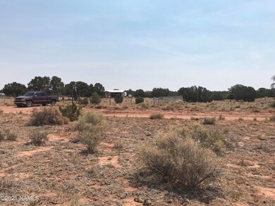 Affordable 1 Acre Lot