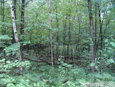 0 Spotted Fawn Rd unit 4591528, Danbury, WI 54830 - photo 3