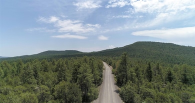 17 Wild Wings Cir, Pecos, NM 87552 - photo 3