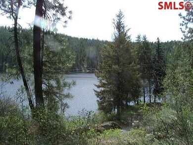 1695 Kelso Lake Rd, Athol, ID 83801 - photo 4