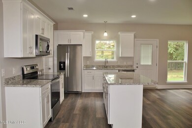 161 Ellis Hodge Rd, Lucedale, MS 39452 - photo 5