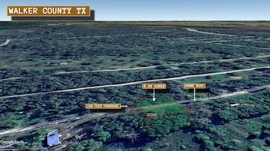 0 Wynne Rd unit Trinity TX 75862, Trinity, TX 75862 - photo 4