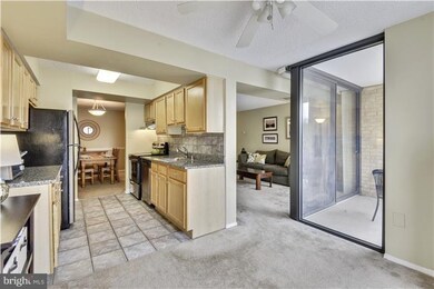 The Brittany unit 309, Arlington, VA 22204 - photo 3