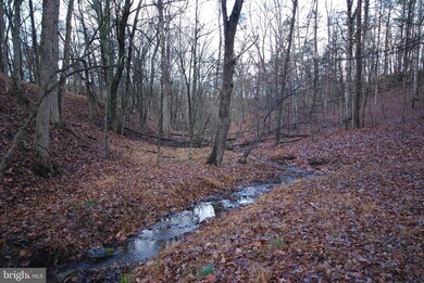 Lot 29 & 30 Staubwoods Dr, Romney, WV 26757 - photo 5