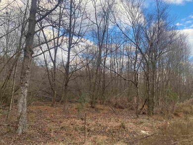 7 Hughey Talley Rd, Selmer, TN 38375 - photo 5