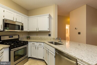 4408 Helmsford Ln unit 106, Fairfax, VA 22033 - photo 6