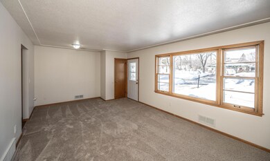 Bright Living Room. brand new carpet