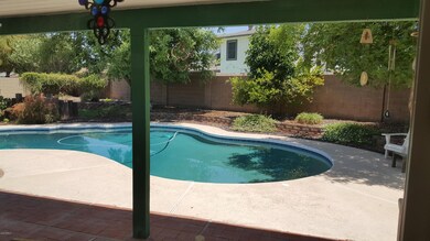 POOL FROM PATIO