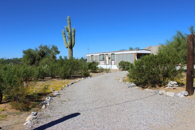 Desert Rose 1