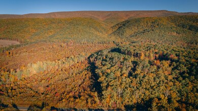 Botetourt 13 pic 3