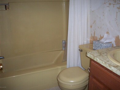 340 Birch Dr, Blakeslee, PA 18610 - photo 7