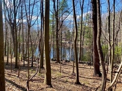 279 Holland Rd, Sturbridge, MA 01518 - photo 6