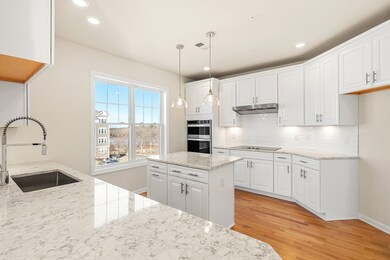 4 Peters Farm Way unit 312, Westborough, MA 01581 - photo 3