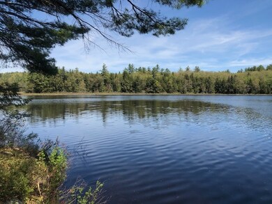 42 Forest Pond Rd unit Lot R06-42, New Hampton, NH 03256 - photo 6