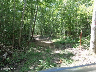 0 Ditney Trail unit 3 1303567, Pioneer, TN 37847 - photo 7