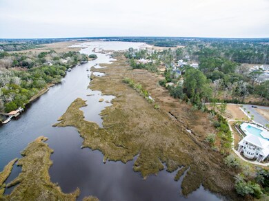 Beautiful Marsh