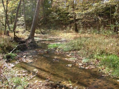 1709 Waverly Rd, Tennessee Ridge, TN 37178 - photo 6