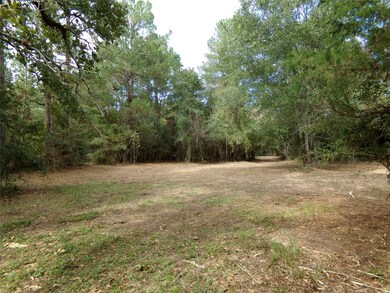 24883 Nightingale Ln, Hockley, TX 77447 - photo 7