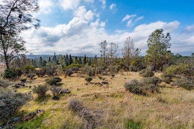 12137 Newtown Rd, Nevada City, CA 95959 - photo 3