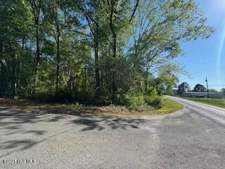 0 5th St unit 100501693, Hamlet, NC 28345 - photo 2